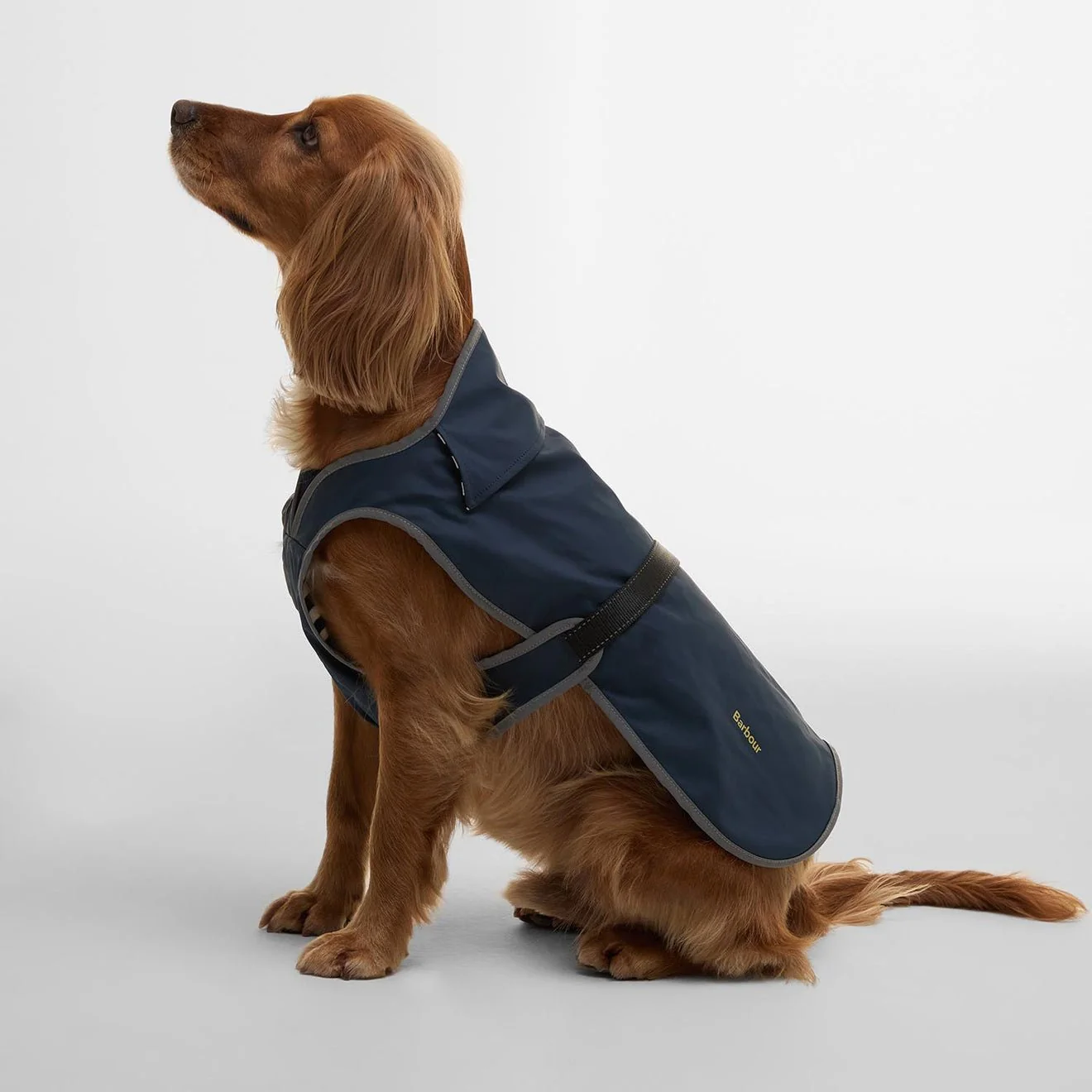 Barbour Evie Waterproof Dog Coat Dark Navy - Image 3