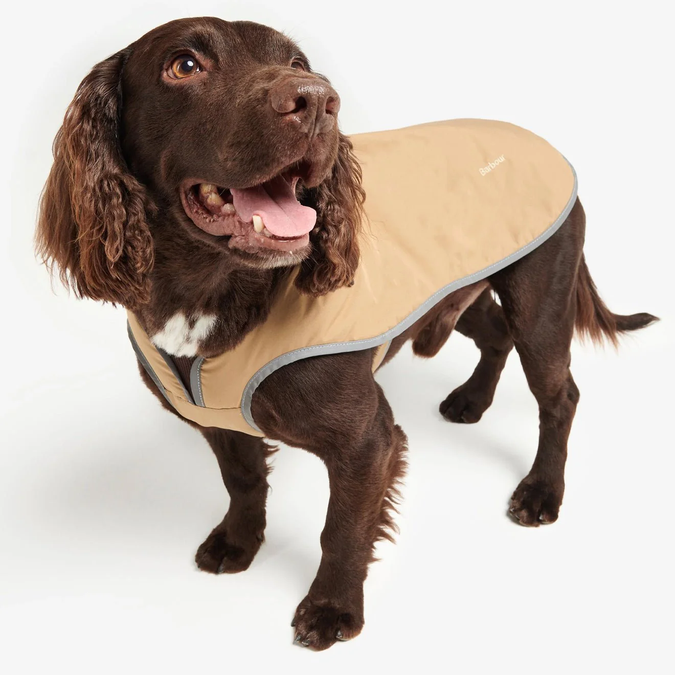 Barbour Monmouth Waterproof Dog Coat Trench - Image 3
