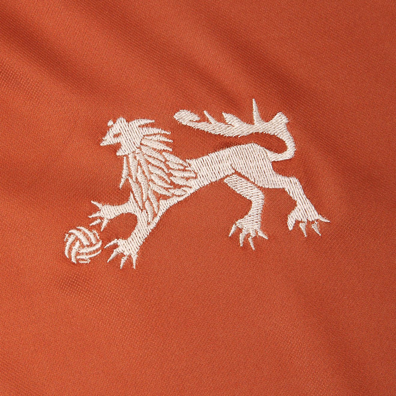 Futsol Short Sleeve Jersey Rust Lion - Image 4